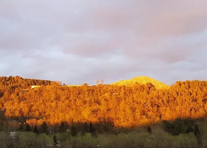 Appartement Fjordclaw Snm- Adjoining The & Nature, Free Parking Bergen